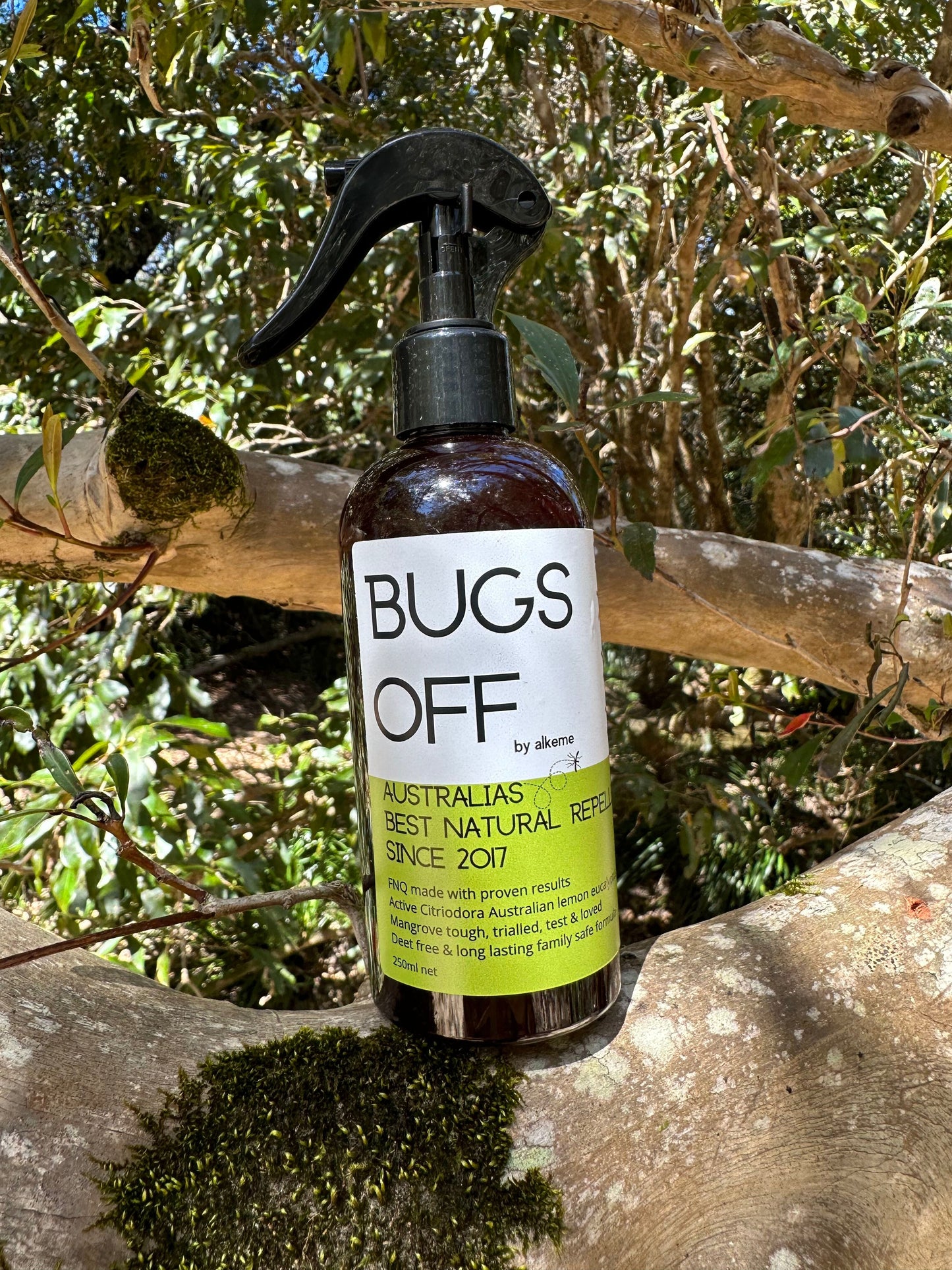 Bugs Off Repellent