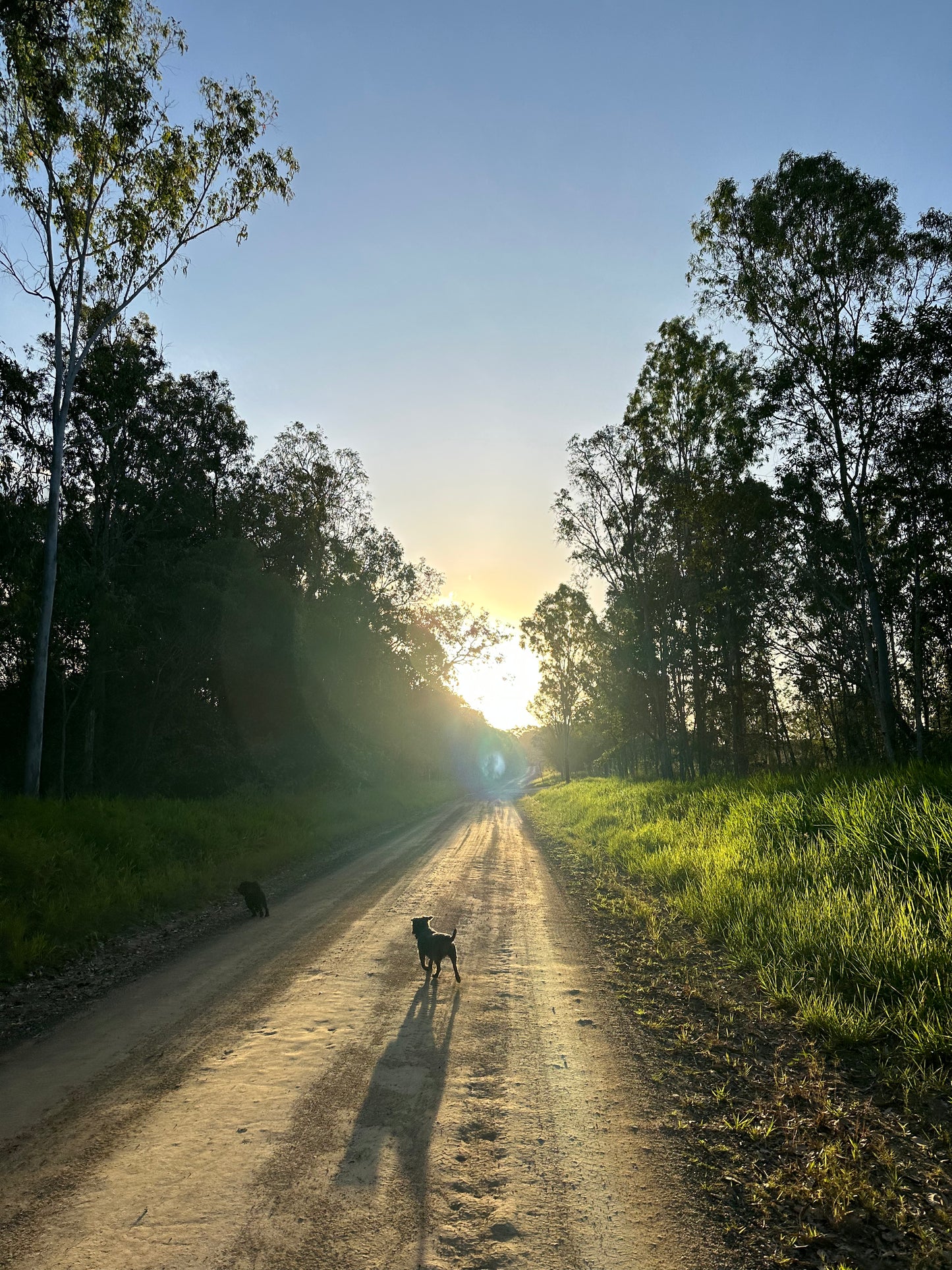 The Bugs Off Adventure Awaits - Gift Card