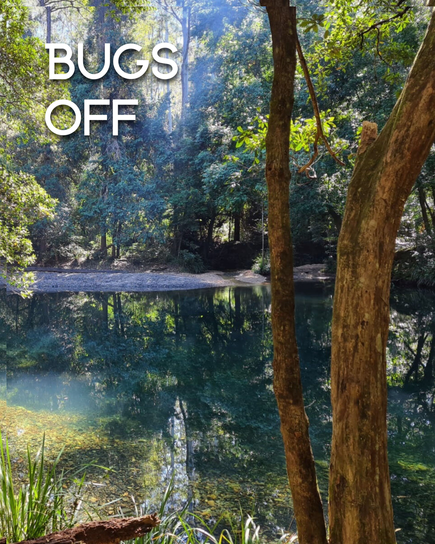 The Bugs Off Adventure Awaits - Gift Card