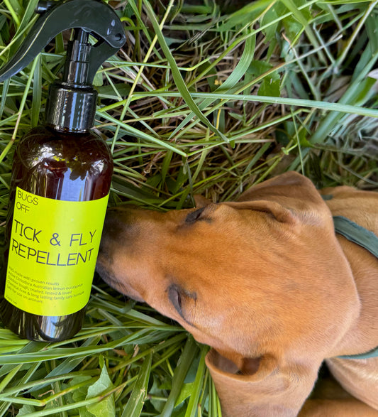 Love Your Pet Premium‼️+ 1 FREE Product‼️